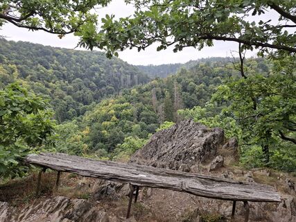 Photo from nordbergschnecke along the tour