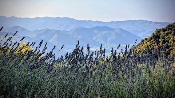 Fotografija s spletne strani AleMiao na poti