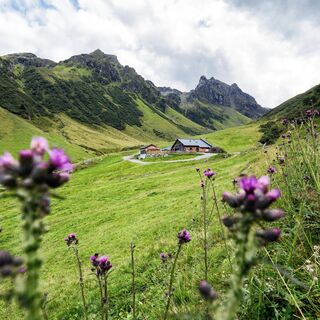 Alp Nova mit Blick in Richtung Madrisella und hinteres Ende des Novatals