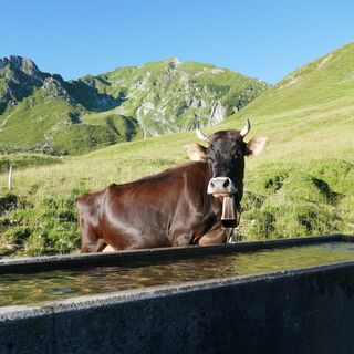 Birehütte - Spaziergang Gantrischseeli