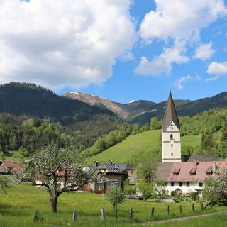 Wald am Schoberpass