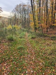 Fotografie z Björn Heun na trase