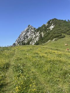 Fotografija s spletne strani Ines89 na poti