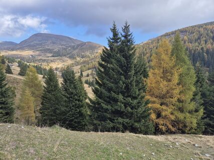 Photo from grissemann.gabi along the tour