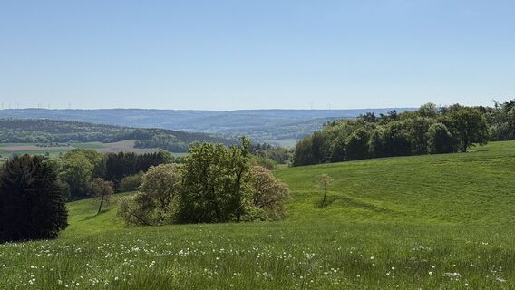 Fotó a Arnold Zörgiebel honlapról a túra során