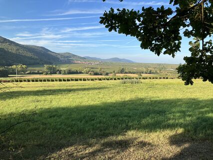 Photo de Peter Hildenbrand le long du parcours