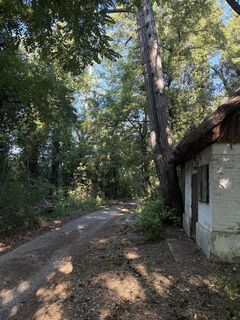 Fotografija s spletne strani Cseko Ferenc na poti