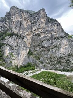 Foto von Heikoala entlang der Tour