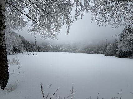 Photo de Natur_erleben_dg le long du parcours
