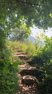 Photo de Elena Quarisa le long du parcours