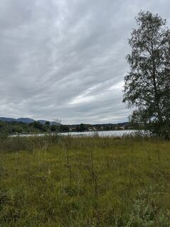 Photo de Denise Miller le long du parcours
