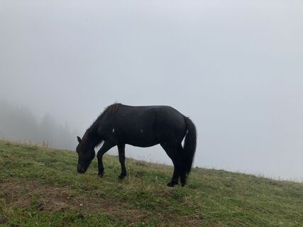 Foto von Harald Von Dobschütz entlang der Tour