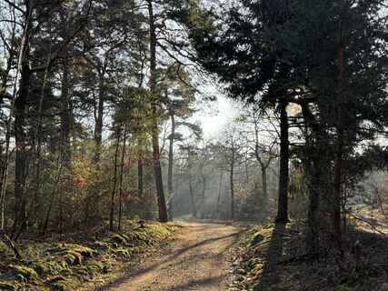 Foto von Norbert Herbig entlang der Tour