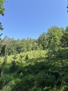 Photo de Robert Christiaans le long du parcours