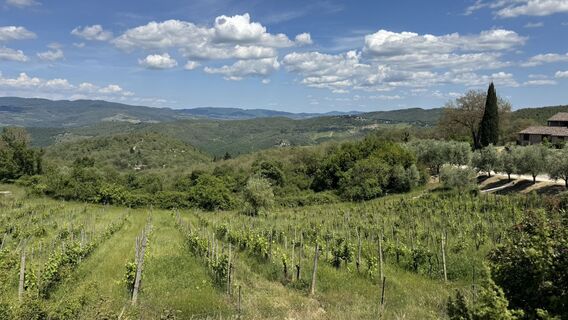 Foto von Justin Rider entlang der Tour