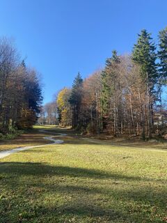 Foto van Mojca J. langs de tour