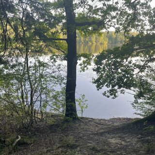 Hevesee am Möhnesee