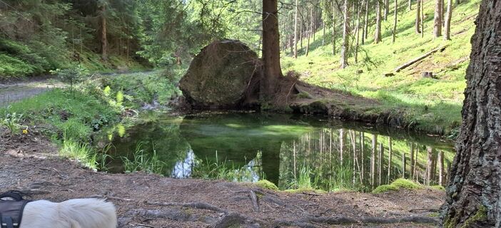 Photo de Karin-Wandert le long du parcours