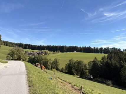 Foto von A Kropfhofer entlang der Tour