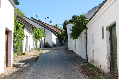 Zemljevid