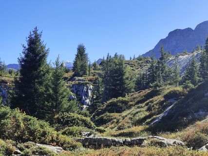 Fotografia z Darius Amarapura na trase