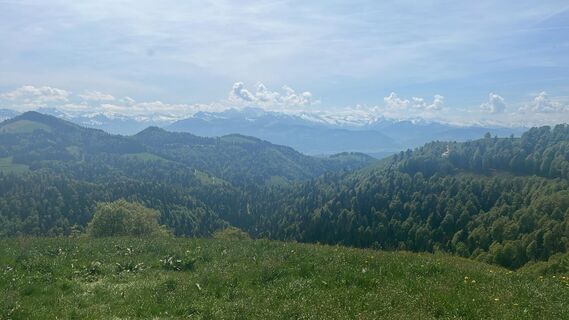 Foto von Mark entlang der Tour