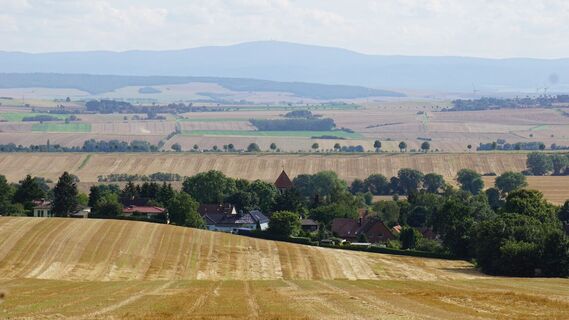 Blick auf Ampleben