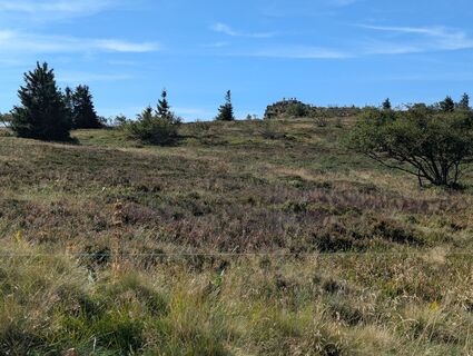 Fotó a Matje Derks honlapról a túra során