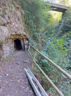 Foto från Albert Grittern under resans gång