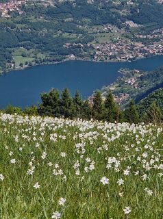 Zdjęcie z Cristian Mario Rota wzdłuż trasy