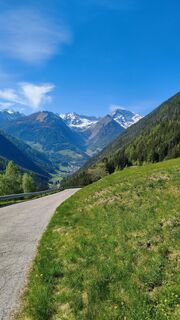 Foto von walrei entlang der Tour
