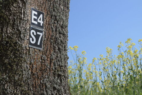 Wegmarkierung S7 | Büren-Steinhausen
