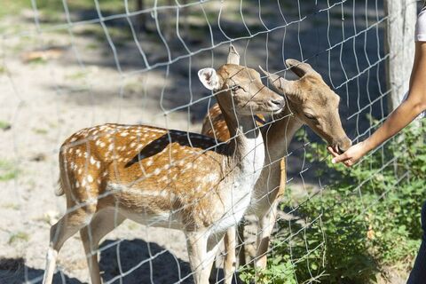 Wildpark Karlsbrunn