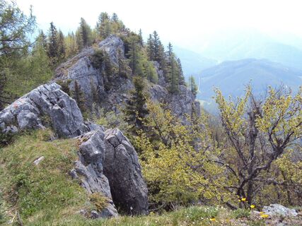 Schneealpe - Windberg