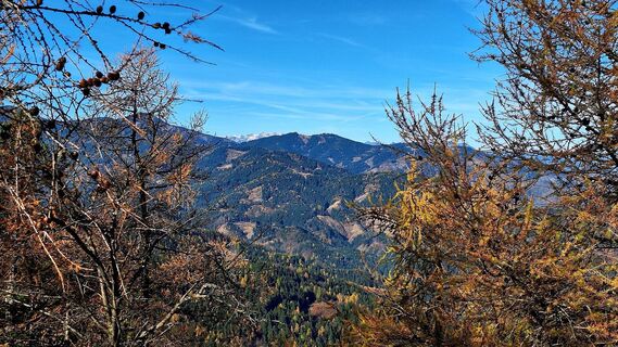Fotografija s spletne strani Regina Fleischmann na poti