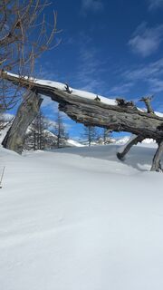 Fotografia z Valerio Masiero na trase