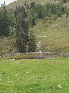 Fotografija s spletne strani Dominik Bausch na poti