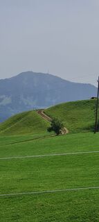 Photo de Bps Wiedemann le long du parcours