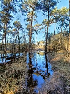 Foto von Kees Kalkman entlang der Tour