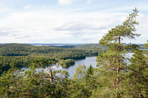 Aussichtspunkt