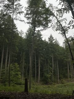 Foto von Lara Dressler entlang der Tour