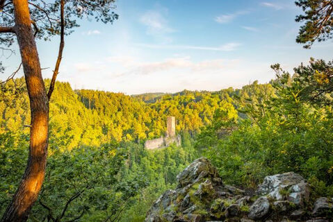 Stellekopf