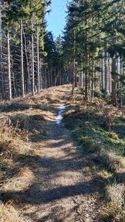Photo de Pur Alexander le long du parcours