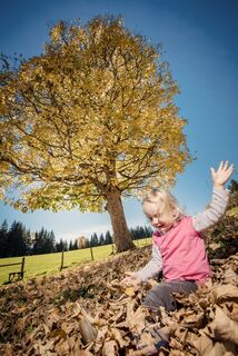 baumhoroskopweg - familienwanderung_img_58021499