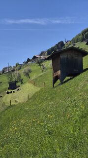 Photo de Cilli Waldhof le long du parcours