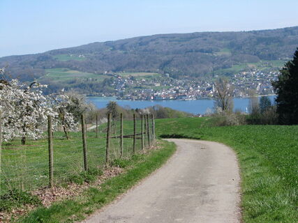 Blick auf Steckborn