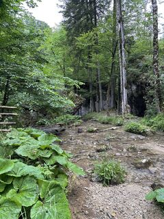 Foto da Babs Holz lungo il tour