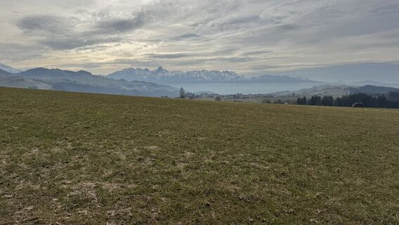 Foto von peter_oe entlang der Tour