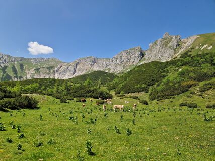 Foto von Peter Mandl entlang der Tour