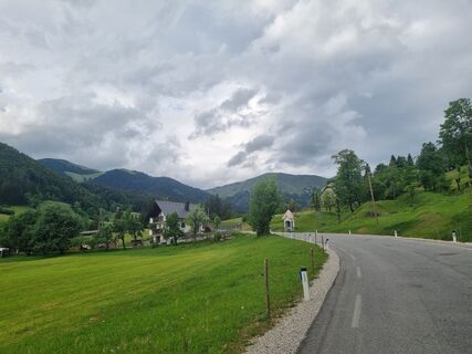 Foto von Grizli entlang der Tour